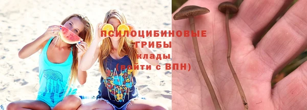 MDMA Белокуриха